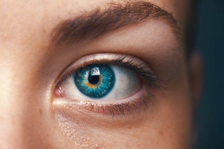 Close up picture of someone's blue eye