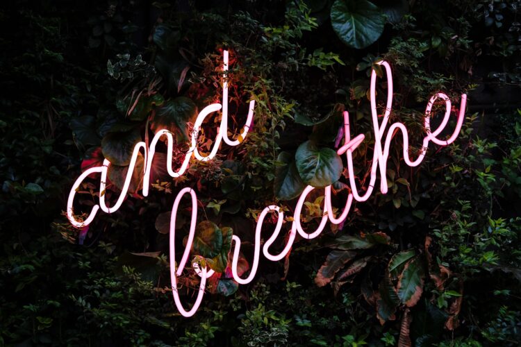 neon lights over greenery wall that reads "and breathe"